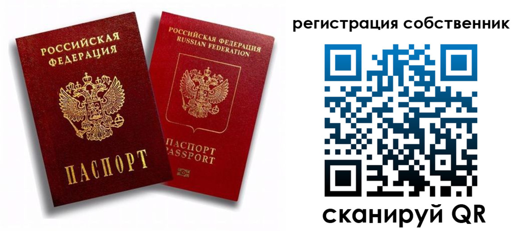 прописка штамп в Лузе